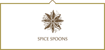 SPICE SPOONS